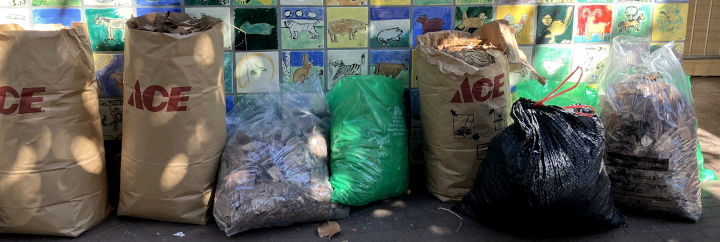 9 bags of leaves and trash lined up on a wall