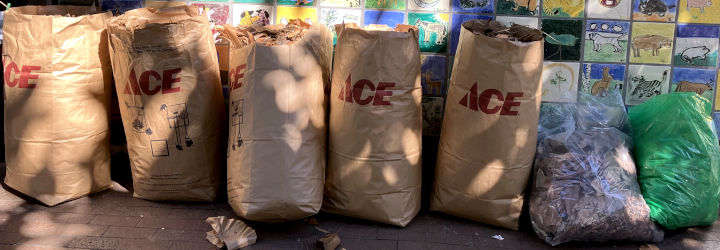 7 bags of leaves and trash lined up on a wall
