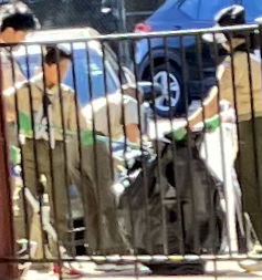 Four guys pick up trash on the street