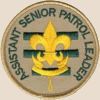 Assistant senior patrol leader badge: three horizontal green lines with a gold scouting symbol on top and the words assistant senior patrol leader curved near the edge of the top semicircle