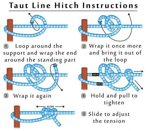 /stuff/tools/images/tautlinehitch.jpg
